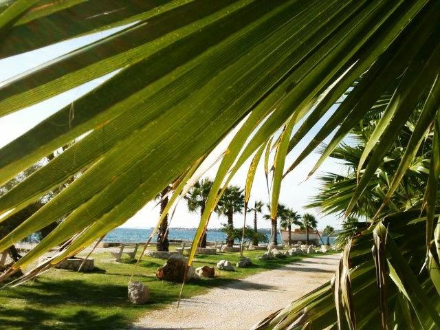 Deby Beach House Вир Екстер'єр фото
